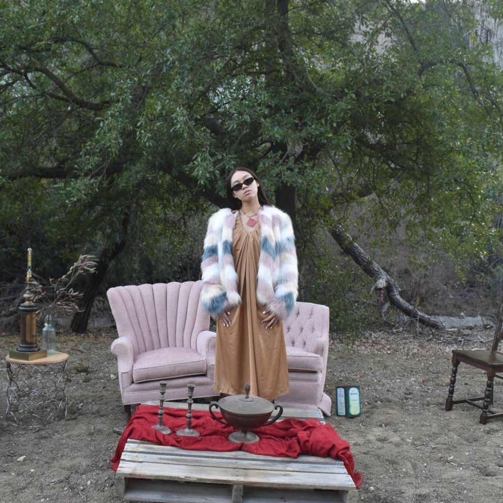 Daphnea Paris Multi Colored Faux Fur Jacket-L